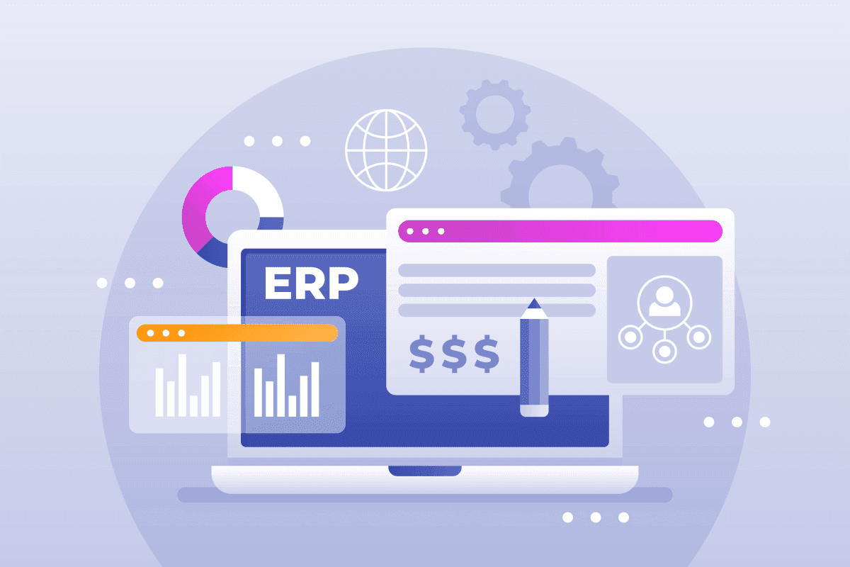 Why Every Business Needs a Custom ERP System in the 2020s
